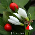 http://anticonceptionale.ro/forum/uploads/thumbs/16527_martisor1.jpg